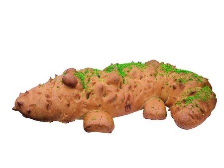  loaf crocodile.