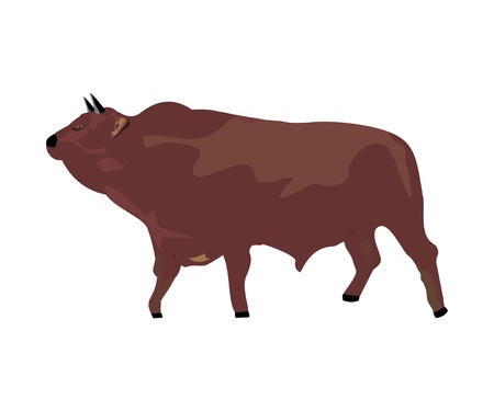 the big bullのイラスト素材