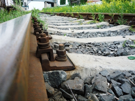   Photo of railroad tracks in the grassの写真素材