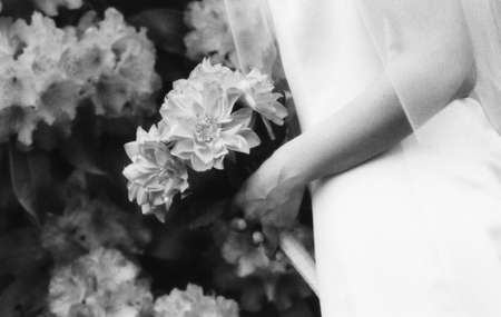 A black and white photo of a bride's hands holding a bouquet in front of a background of flowers.の写真素材