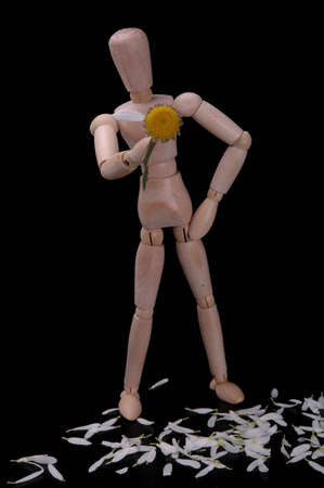 An artist's manikin holding a daisy out a daisy with only one petal left. Around the manikin's feet is a pile of white petals.の写真素材