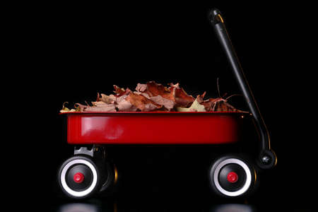 A little red wagon filled with colorful leaves against a black background.の写真素材