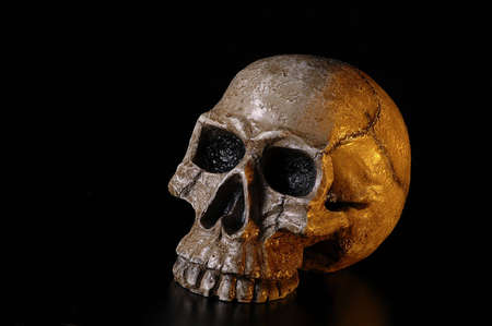 A skull on a black background.の写真素材