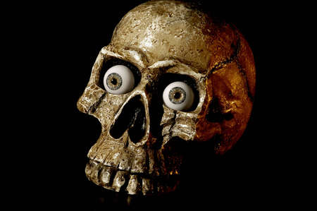 A skull with eyeballs in its sockets.の写真素材