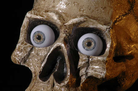 A skull with eyeballs in its sockets.の写真素材