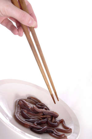 A hand holding chopsticks above a plate of worms.White background.