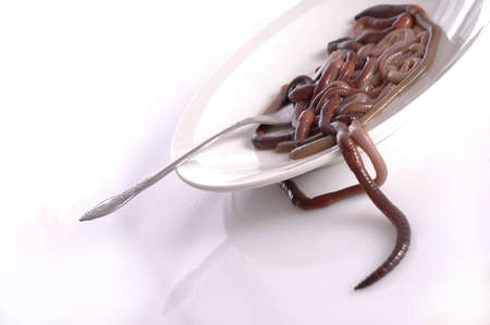 A plate of worms against a white background.の写真素材