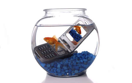 A goldfish in a bowl swims by a cell phone submerged in the water. A picture of the same goldfish is displayed on the screen of the cell phone. Orientation is horizontal. Room for text.の写真素材