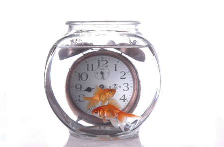 Two fish swim in a bowl in front of an alarm clock that appears to be submerged.の写真素材