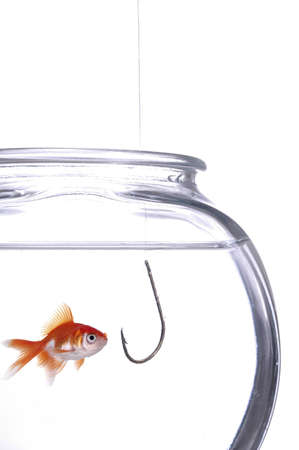 A fish gawks at a hook hanging in the fish bowl. White background.の写真素材