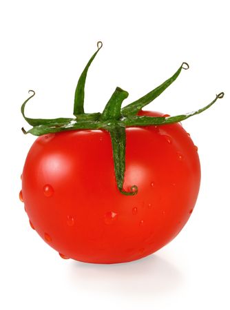Single tomato isolated on white background の写真素材