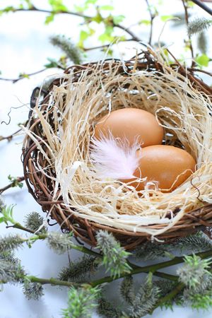  easter eggs in a nest with feather