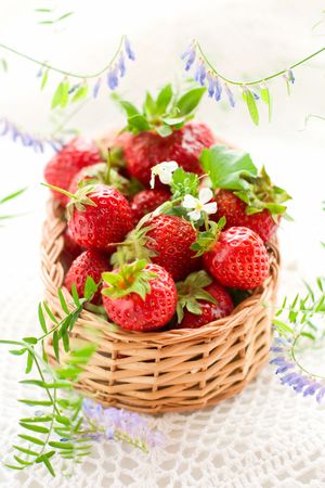 fresh strawberries in a basketの写真素材