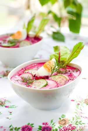 Summer cold  soup with beet, cucumber, radish,kefir and egg.の写真素材