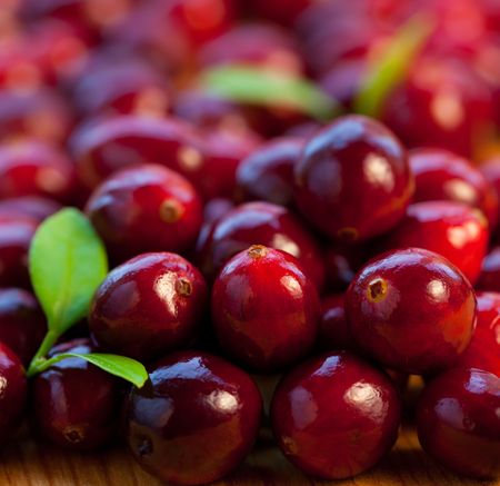Fresh red cranberries with leavesの写真素材