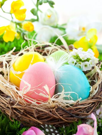 colorful Easter Eggs in a nest on the grassの写真素材