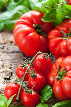 fresh tomatoes and basil on the wooden backgroundの写真素材