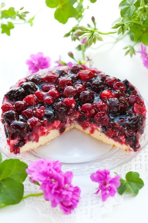 fresh fruit tart on the plateの写真素材