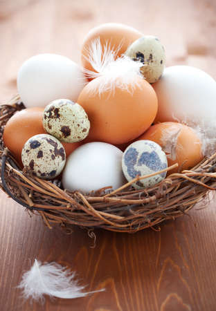 Different types of eggs in a  nest with feathers on a wooden tableの写真素材