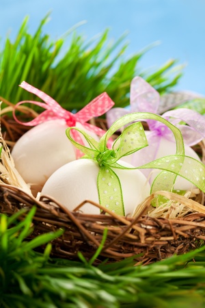 Easter eggs in a nest on the grassの写真素材