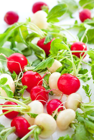 Fresh red and white radishの写真素材