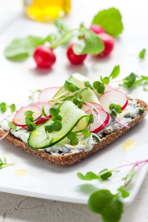 Wholemeal sandwiches with fresh vegetablesの写真素材