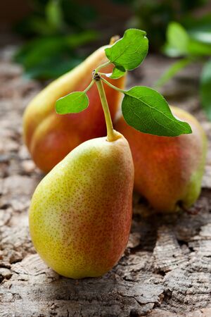 fresh pears with leavesの写真素材