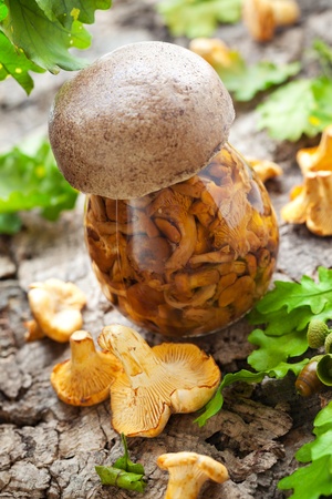 Jar of picked chanterelles and fresh mushroomsの写真素材