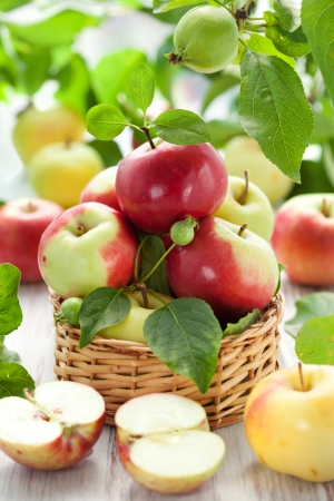 Red,green and yellow apples with leaves in the basketの写真素材