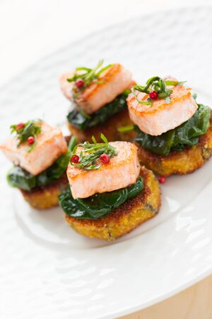 salmon on the eggplant and spinachの写真素材