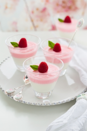 Raspberry yogurt dessert in glassesの写真素材