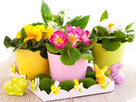 colorful spring flowers with easter decorationの写真素材