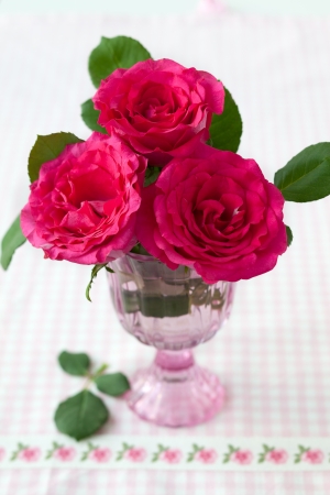 pink roses in vaseの写真素材