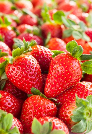 Fresh strawberry backgroundの写真素材