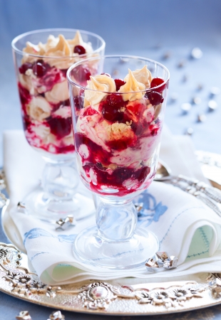 Eton Mess with cranberry,meringue and cream for holidayの写真素材