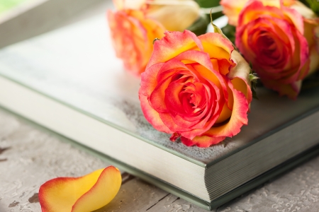 Red yellow roses on a bookの写真素材