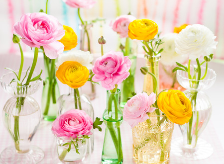 Beautiful colorful ranunculus in  glass bottlesの写真素材