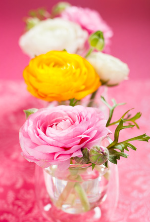 Beautiful colorful ranunculus in vasesの写真素材
