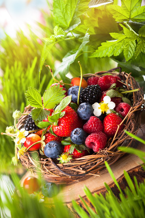 A basket of mixed summer berriesの写真素材