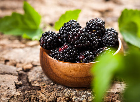 Blackberries in bowl on wooden background の写真素材