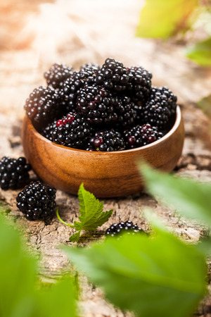 Blackberries in bowl on wooden background の写真素材
