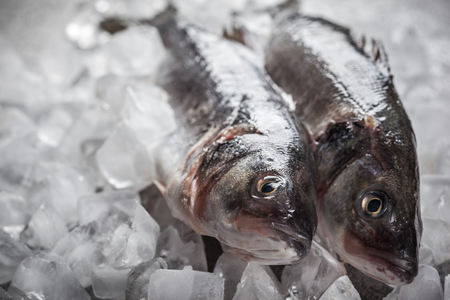 Whole Sea bass on ice