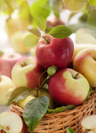 Fresh apples with leaves in basketの写真素材