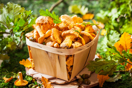 Fresh mushrooms in basketの写真素材