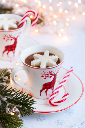Hot chocolate with marshmallows snowflakesの写真素材