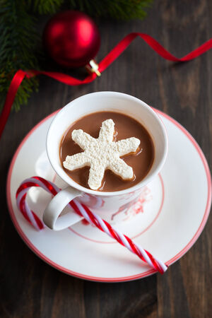 Hot chocolate with marshmallows snowflakesの写真素材