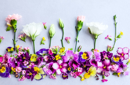 Background of fresh multicolored flowersの写真素材
