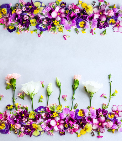 Background of fresh multicolored flowersの写真素材