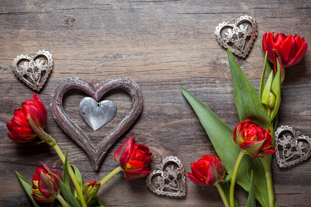 Valentines Day background with  hearts  and tulipsの写真素材