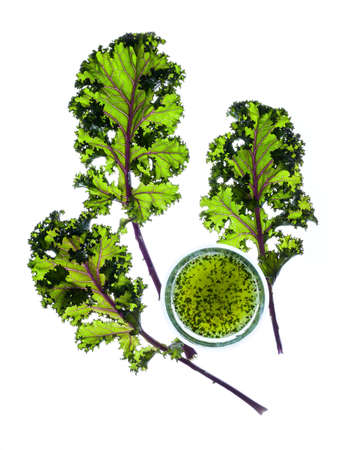 Fresh organic kale leaves and glass of smoothie on the white background